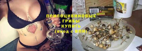 гидра Балабаново