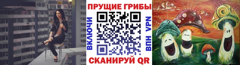 Купить закладки  Ступино  Псилоцибиновые грибы мицелий 